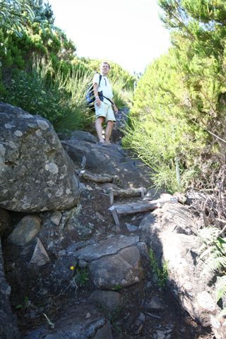 Levada das Cales — Levada de alimentação ocidental — foto 3