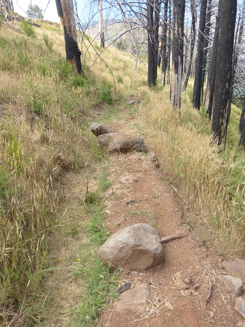 Levada das Cales — O antigo troço da levada — foto 1
