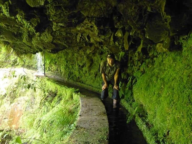 Levada das Faias — Section 1 — photo 1