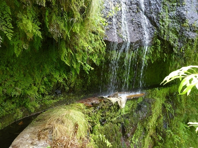 Levada das Faias — Section 1 — photo 2