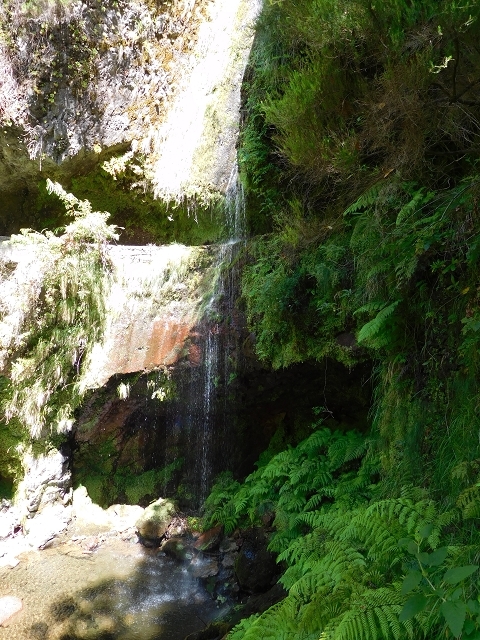 Levada das Faias — Section 1 — photo 3
