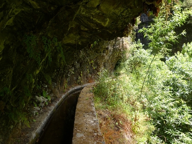Levada das Faias — Section 1 — photo 1