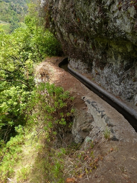 Levada das Faias — Section 1 — photo 2
