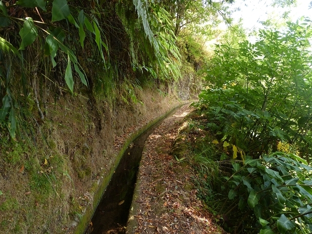 Levada das Faias — Section 1 — photo 3