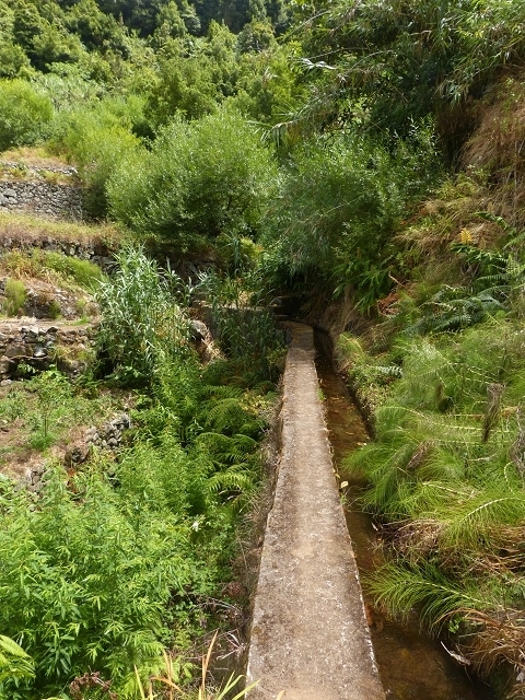 Levada das Faias — Section 1 — photo 6