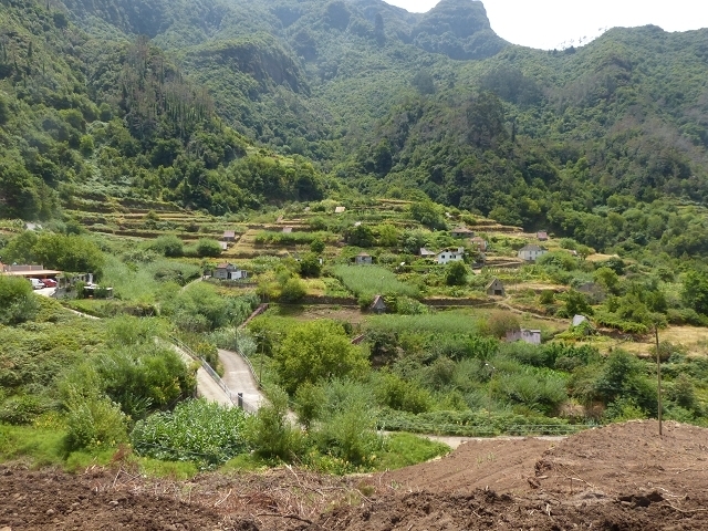 Levada das Faias — Section 1 — photo 7