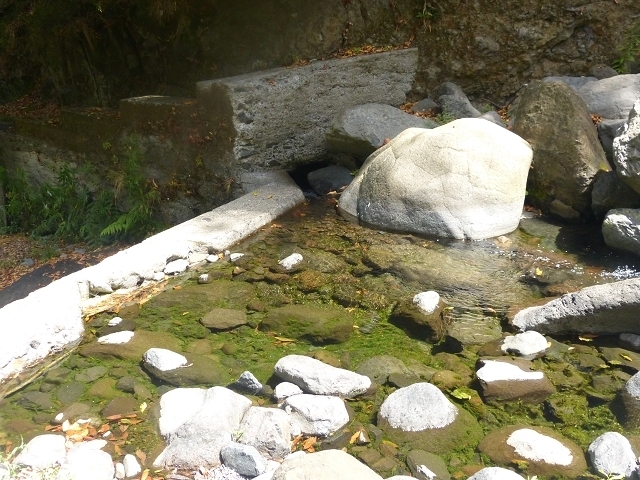 Levada das Faias — Section 1 — photo 2