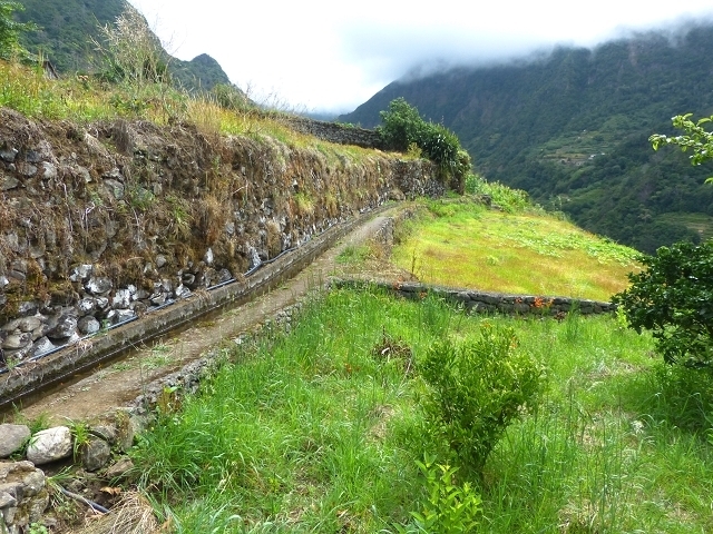 Levada das Faias — Section 1 — photo 8