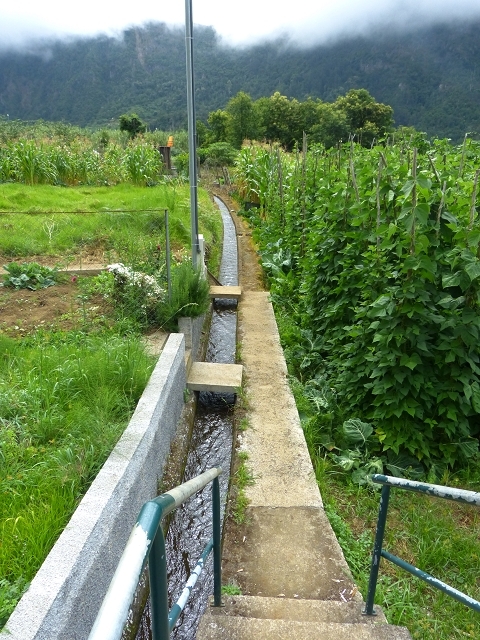Levada das Faias — Section 2 — photo 1