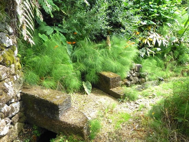 Levada das Faias — Section 2 — photo 2
