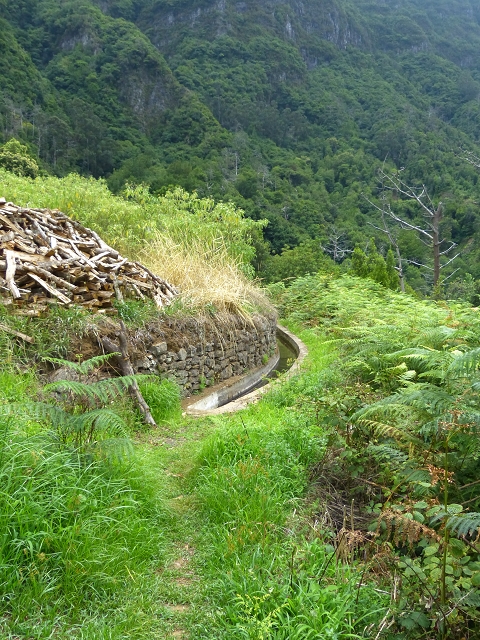 Levada das Faias — Section 2 — photo 3