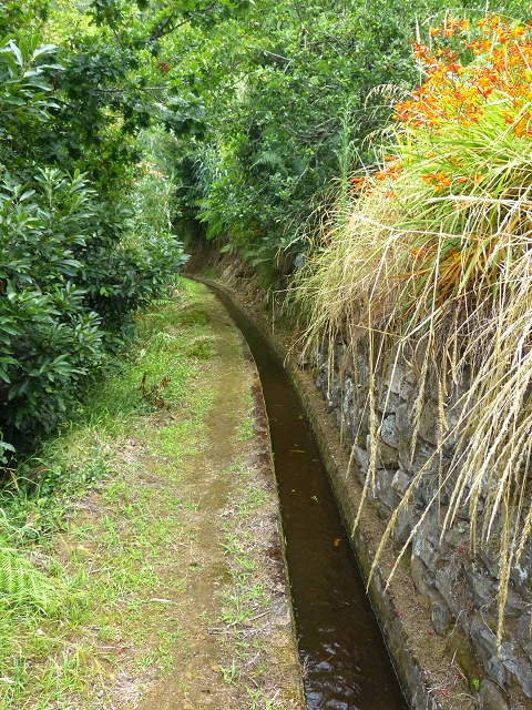 Levada das Faias — Section 2 — photo 4