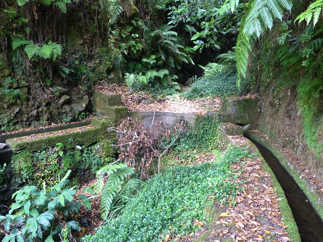 Levada das Faias — Section 2 — photo 5