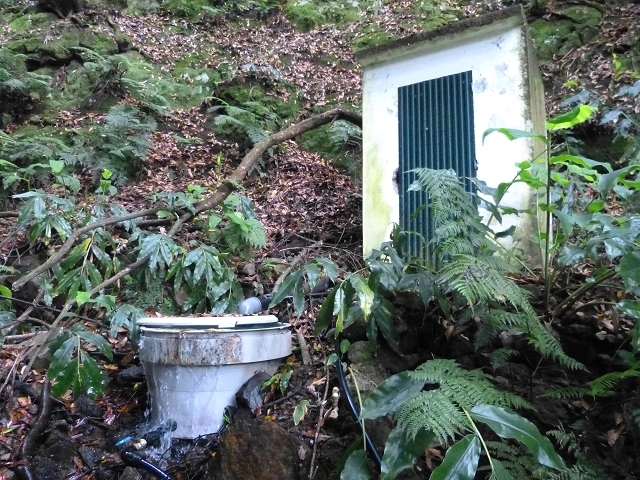 Levada das Faias — Section 2 — photo 3