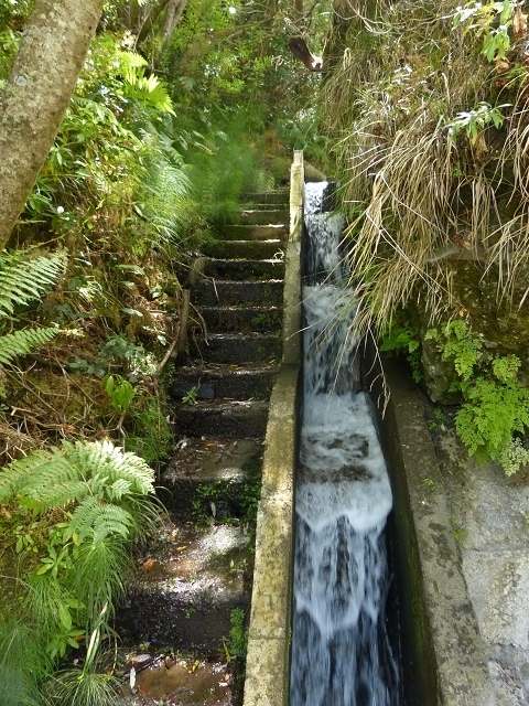 Levada das Faias — Section 1 — photo 3
