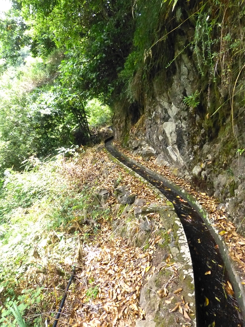 Levada das Faias — Section 2 — photo 3