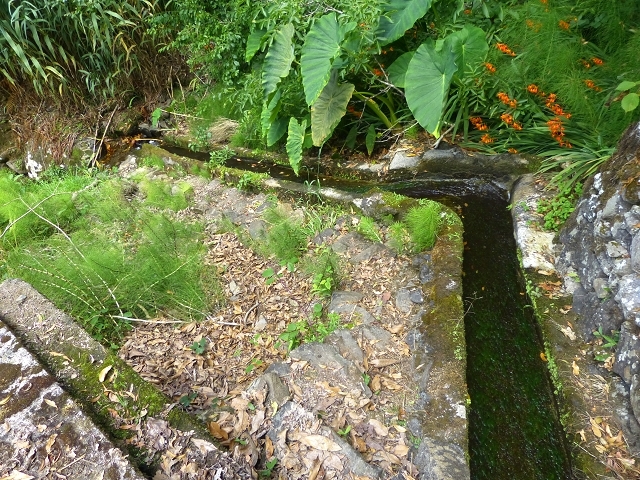 Levada das Faias — Section 2 — photo 1