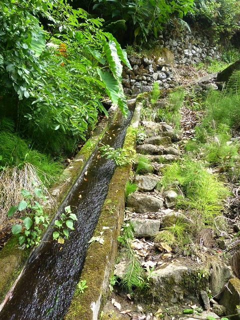 Levada das Faias — Section 2 — photo 2