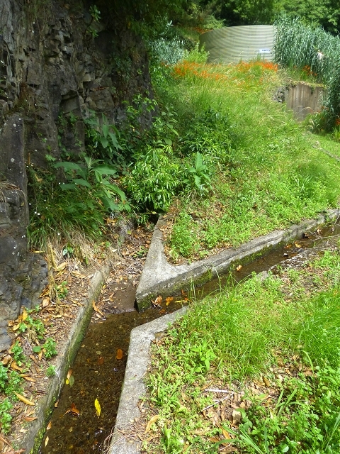 Levada das Faias — Section 2 — photo 3