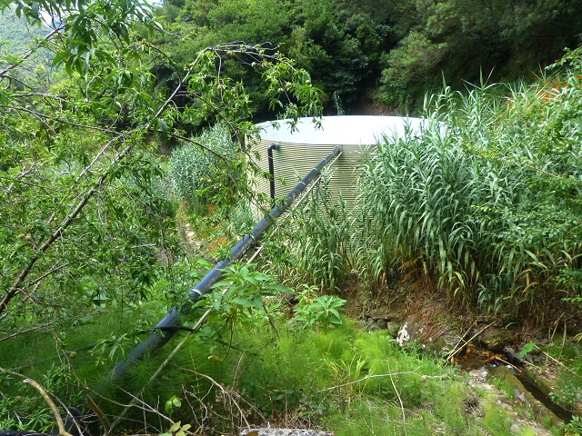 Levada das Faias — Section 2 — photo 4