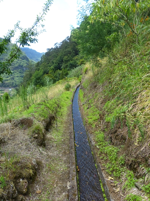 Levada das Faias — Section 2 — photo 5