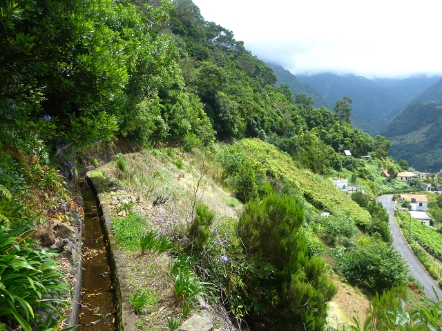 Levada das Faias — Section 2 — photo 6