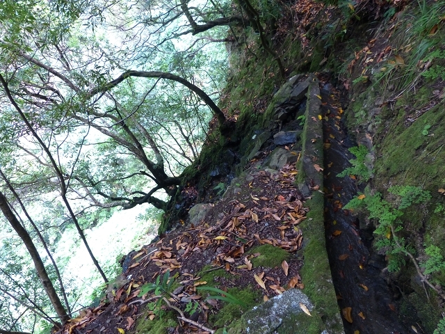Levada das Faias — Section 2 — photo 1