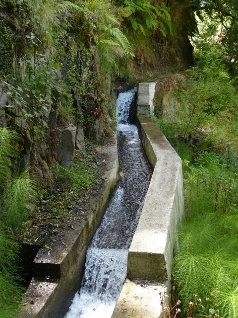 Levada das Faias — Section 1 — photo 4