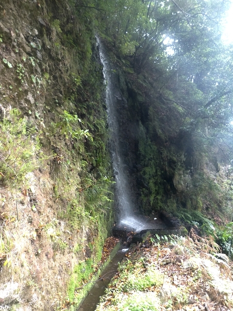 Levada das Faias — Section 2 — photo 2