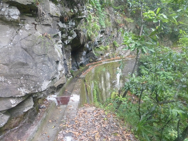 Levada das Faias — Section 2 — photo 1