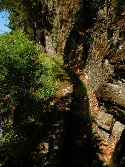Levada das Faias — Section 1 — photo 7