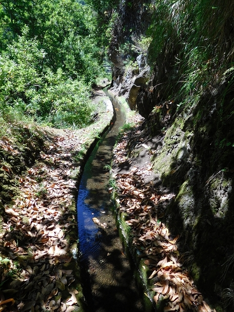 Levada das Faias — Section 1 — photo 8