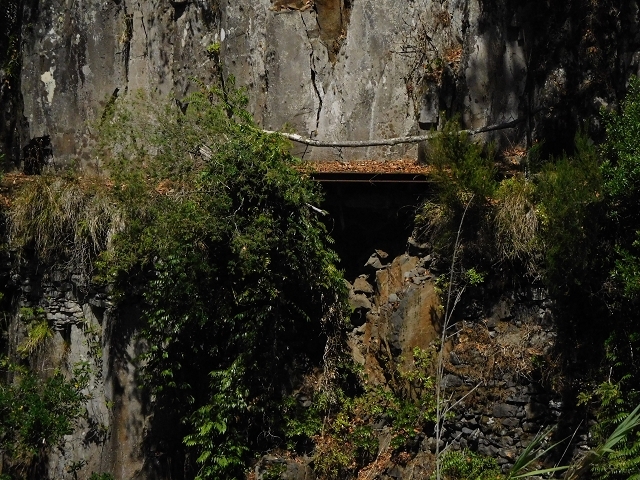 Levada das Faias — Section 1 — photo 9