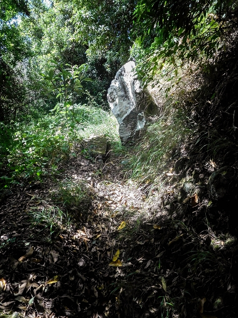 Levada das Fontes — Foto 14