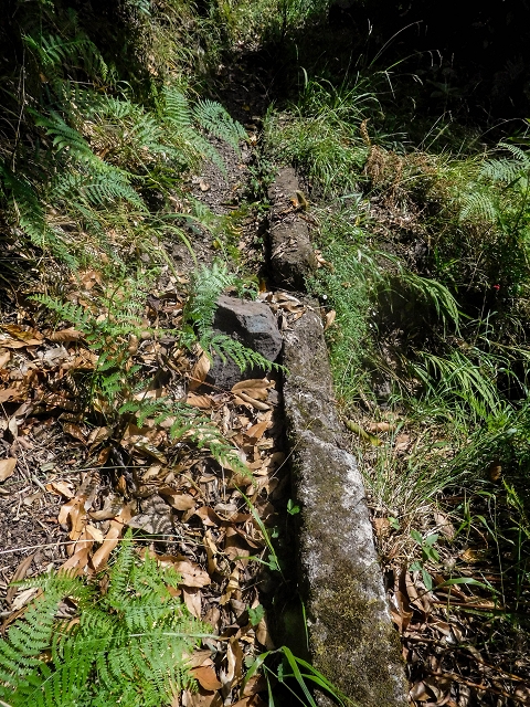 Levada das Fontes — Foto 16