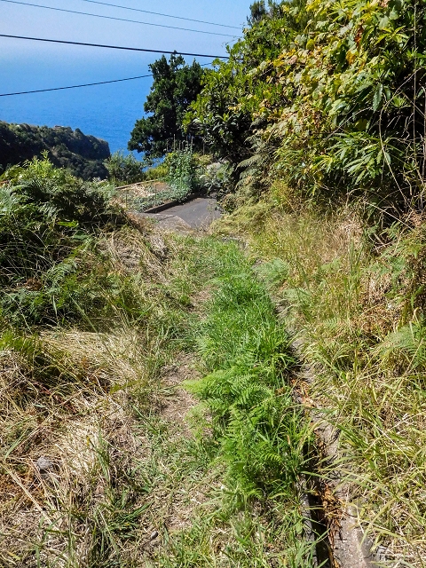 Levada das Fontes — Foto 18