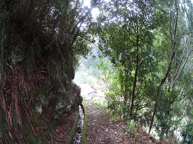 Levada das Fontes — Foto 5