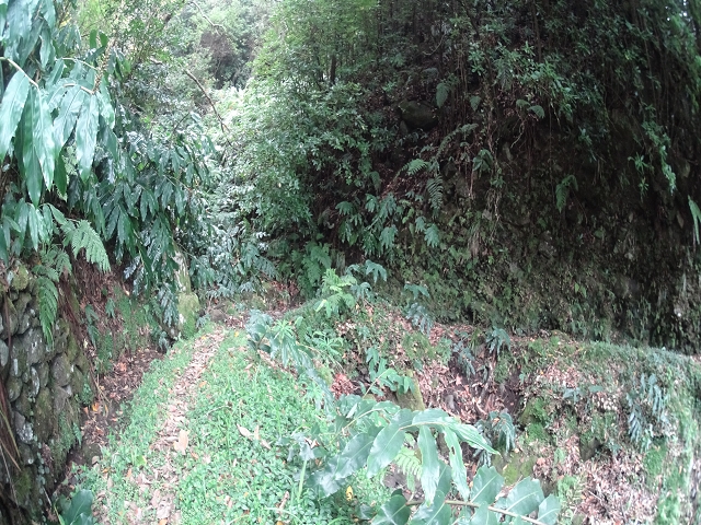 Levada das Fontes — Foto 7