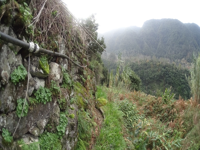 Levada das Fontes — Foto 9