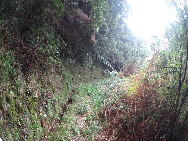 Levada das Fontes — Foto 10