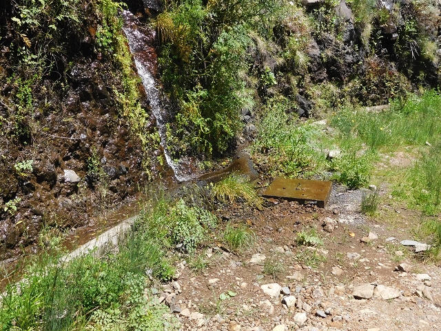 Levada das Rabacas — : Bis zum ersten kessel 2016 — photo 11