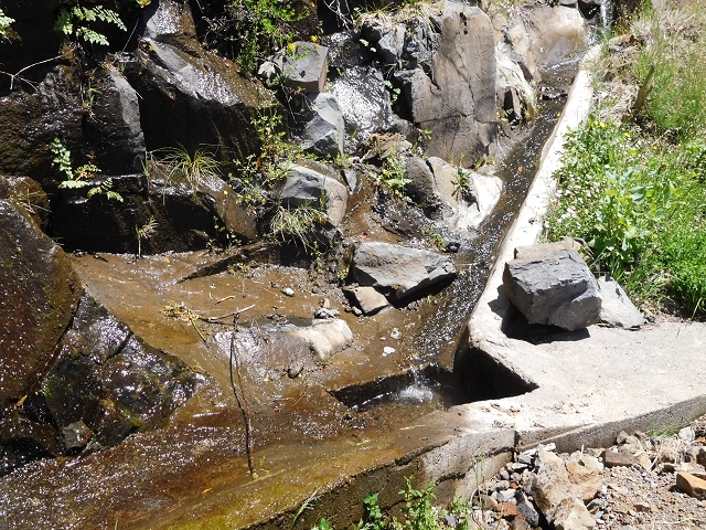 Levada das Rabacas — : Bis zum ersten kessel 2016 — photo 10