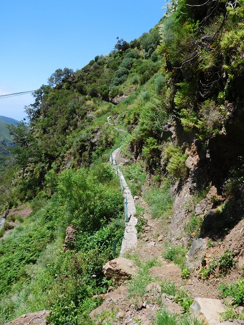 Levada das Rabacas — : Im ersten -Kessel (westliche Seite) — photo 9