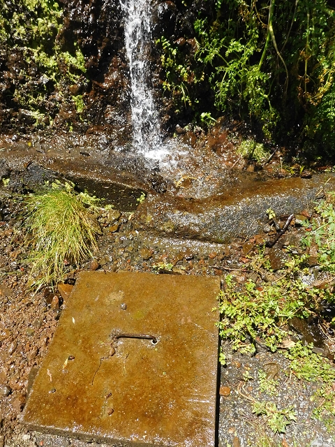 Levada das Rabacas — : Bis zum ersten kessel 2016 — photo 9