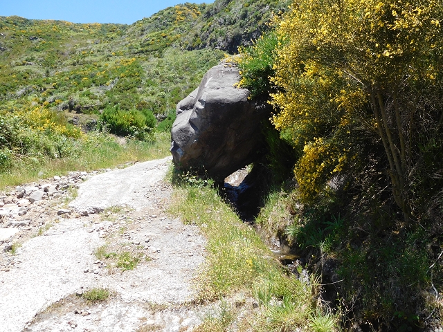 Levada das Rabacas — : Bis zum ersten kessel 2016 — photo 2