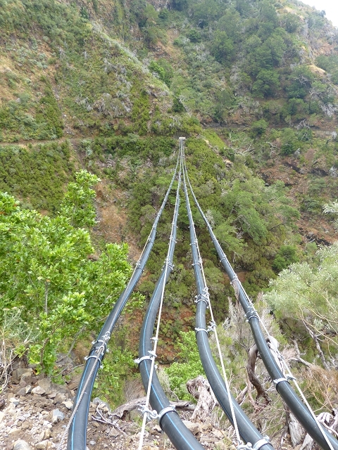 Levada das Rabacas — : Im ersten -Kessel (westliche Seite) — photo 2