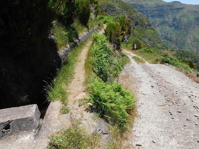 Levada das Rabacas — : Bis zum ersten kessel 2016 — photo 1