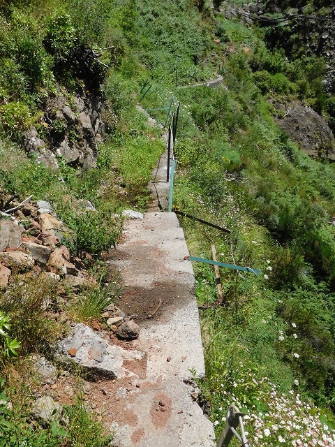 Levada das Rabacas — : Im ersten -Kessel (westliche Seite) — photo 8