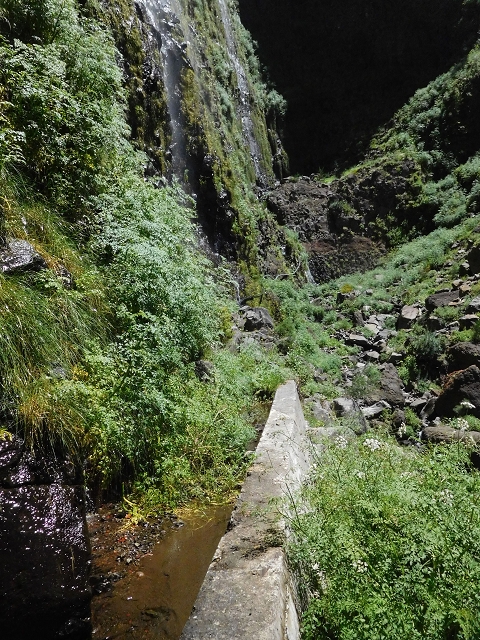 Levada das Rabacas — : Im ersten -Kessel (westliche Seite) — photo 13