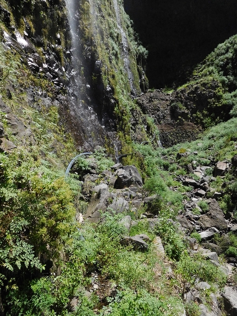Levada das Rabacas — : Im ersten -Kessel (westliche Seite) — photo 14